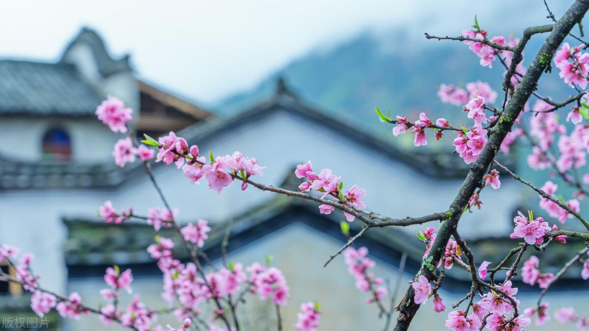 情感导师KiKi|最可怕的是，那些富二代比你还努力