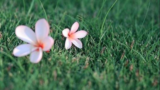 末小北|原来，这就是一个人不爱的样子