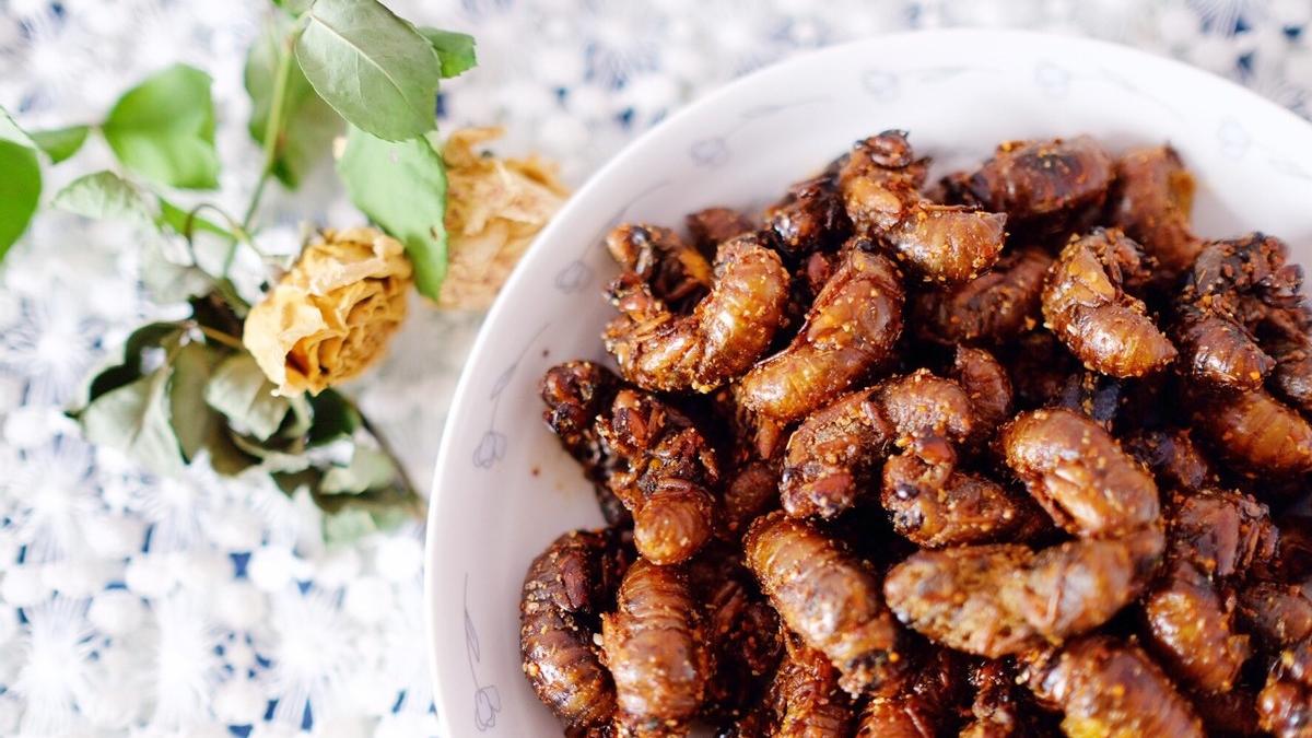 |天变冷之前，树上这个美味赶紧吃，高蛋白，错过了还要再等明年