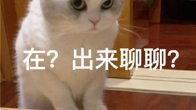 桉月|表情包：在？出来聊聊？