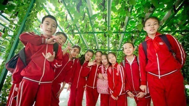 何沐青谈|小学生写出“0分”作文，含义深刻，老师看不下去了