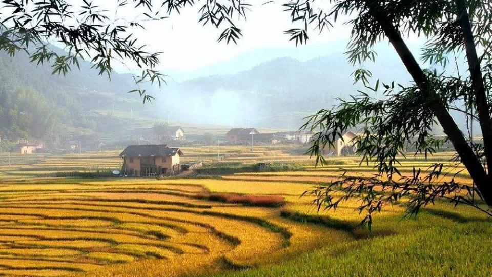 末小北|有一种高级的修养：看谁都顺眼