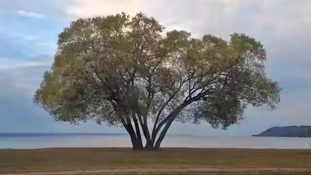 苏庸子|父母走后，不跟兄弟姐妹来往的人，往往因为这3个原因