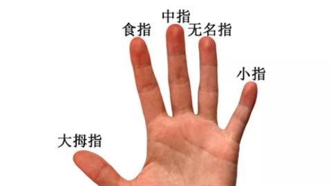 玄风命理|五个手指分别代表什么，及其寓意！