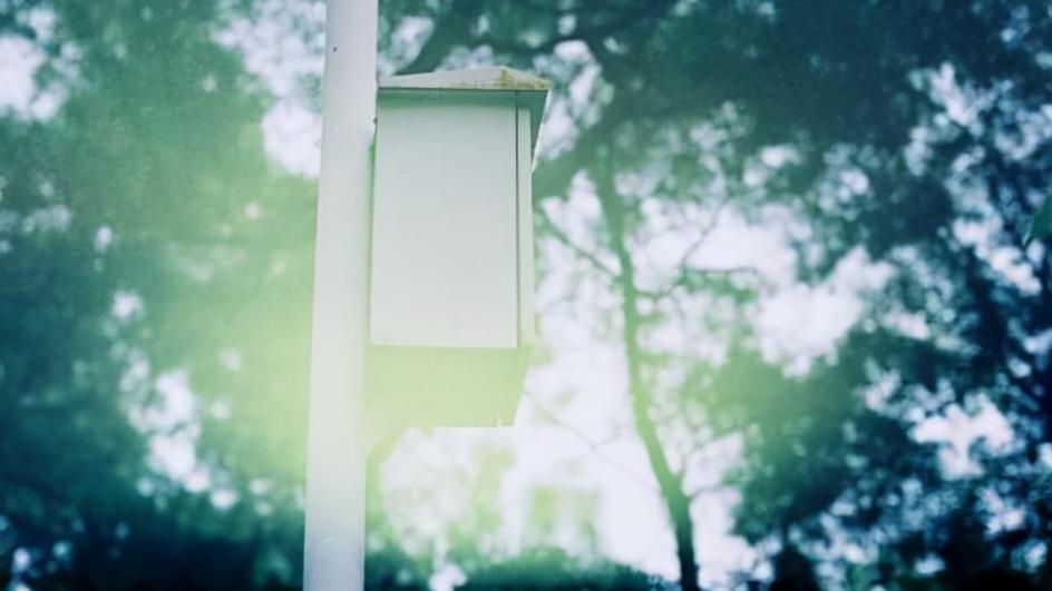 仲念念|真正让人舒服的男女关系，往往都有几个共性，缺一不可