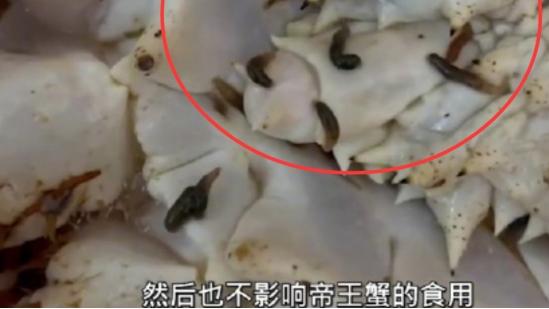 帝王蟹 女子网购帝王蟹上爬满大量活虫，商家称是“蟹蛭”，真的能吃吗？
