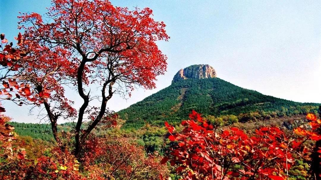 【地理】山东南部有个城市叫枣庄，那里盛产的什么枣最出名？