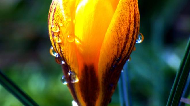 昕月蓝殇美文苑 岁月无言，有一种守候，叫天长地久