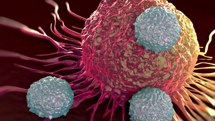 癌细胞 把癌细胞注射进健康人体内，会得癌症吗？美国科学家做了实验