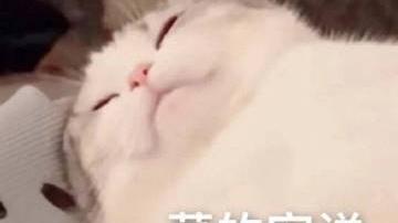 桉月|表情包：你看我眼里是不是都是你