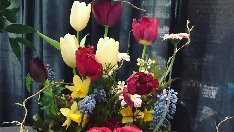 子知鱼|很记仇的星座，一点小事也记在心里，大智若愚，不要轻易得罪