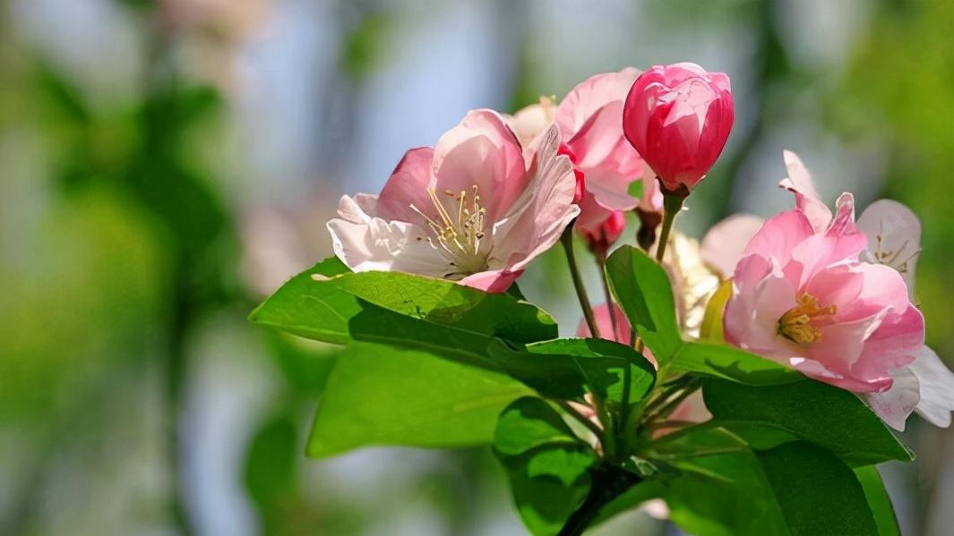 仲念念 男女动了真情，却无法做夫妻，记住这三句话也就幸福了