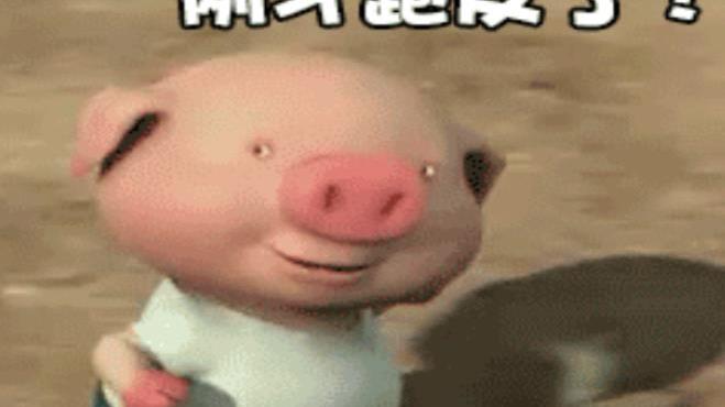 桉月|表情包：小猪跑步表情包可爱动态图