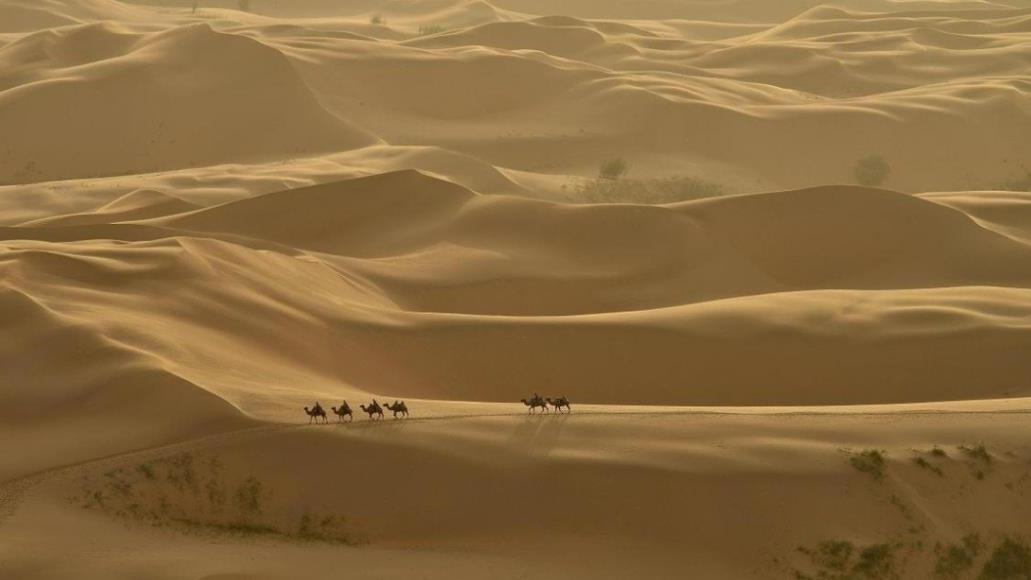沙漠里面那么多沙子，为何不用来盖房子？此想法过于理想化了