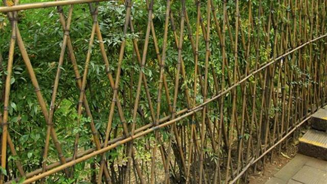 打造中式庭院可一定不能缺了它！