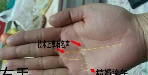 诚然情感之事|手相怎么看运势