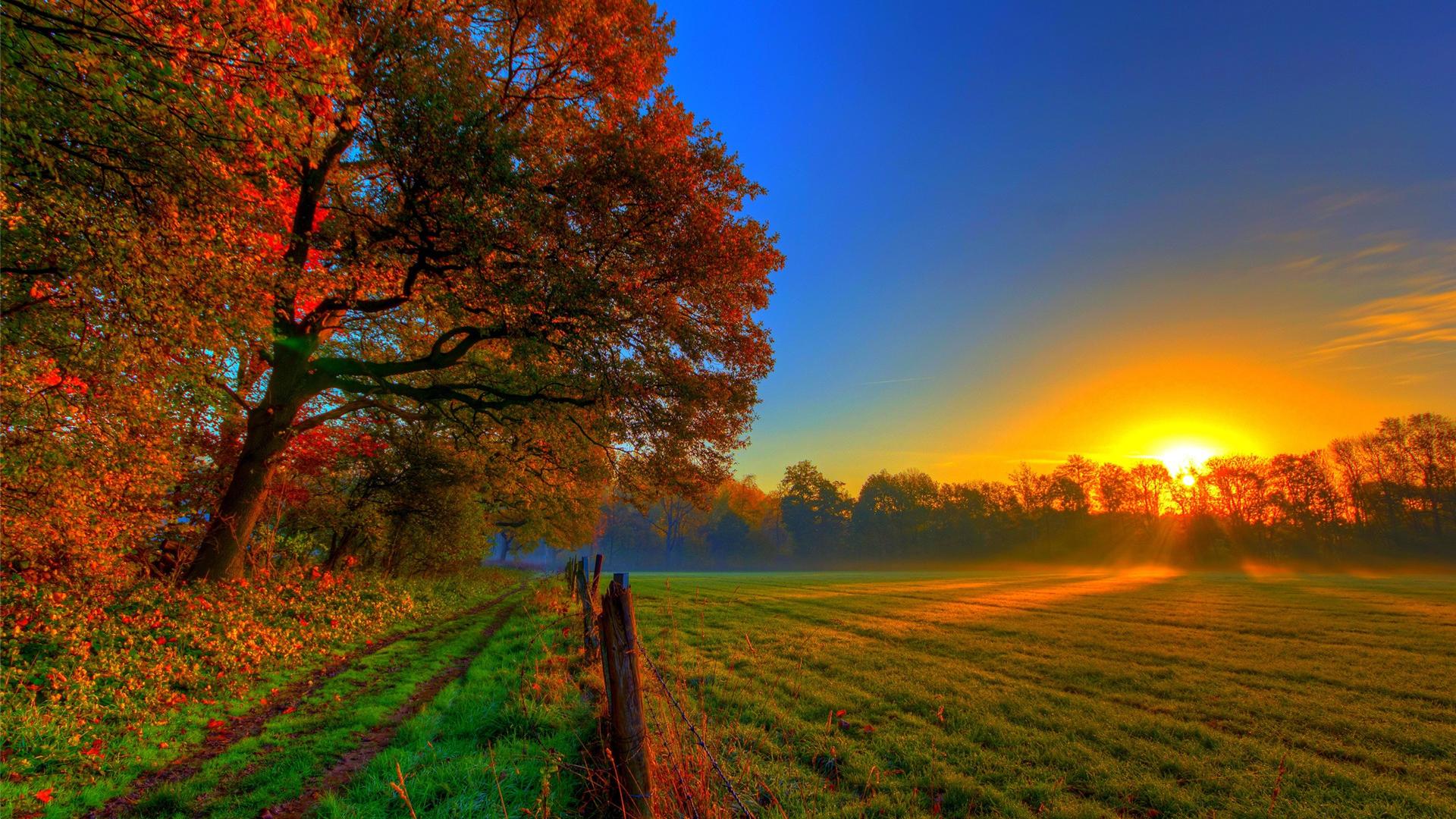 卜师傅八字命理|身旺财衰挣钱少，命格不高却运气好，明年往后时运到来，大器晚成