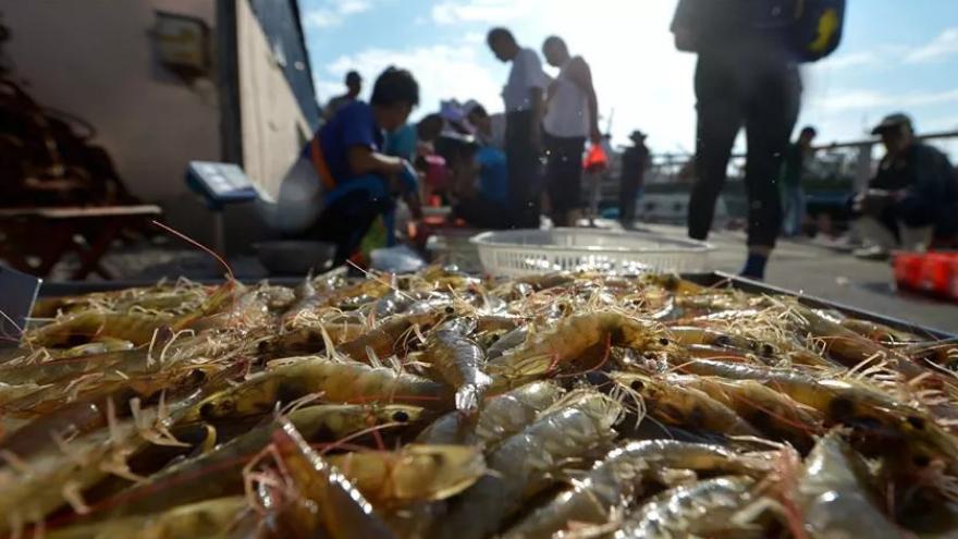 |市场上的5种虾，被列为“问题虾”，很多人爱买，牢记3点避免被坑