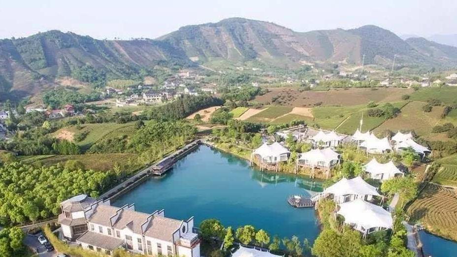 本可以不这么做的|浙江有个县市，年平均温度20度，网友：来对了地方