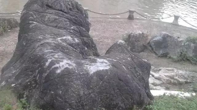 风水：时师晓窝钳乳突，方知怪