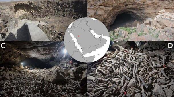 鬣狗 沙特阿拉伯的鬣狗洞里发现大堆动物和人类的骨骼
