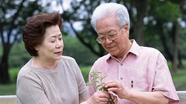 雯文情感屋|52岁保姆拒绝65岁退休男人求婚：谈工作可以，谈恋爱免谈