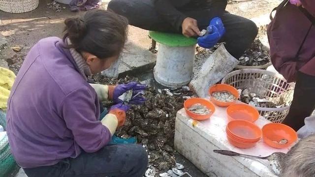 牡蛎|都是牡蛎，海蛎子和生蚝有何区别？弄懂再买不吃亏