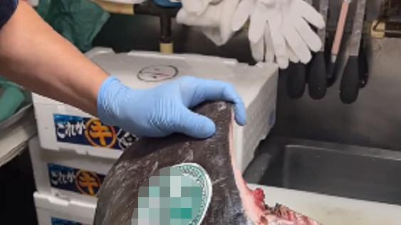 金枪鱼|四个鱼眼睛酱焖一大锅 什么鱼眼睛还能这么吃？不在海边的没口福