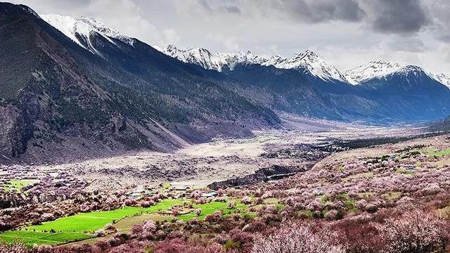 沿着318，去波密，寻找云端上的桃花源，看全世界最美的桃花