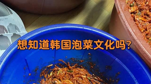 食材|越冬囤泡菜，每年12月必做，韩国人拼命强调的泡菜文化你知道多少