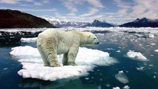 核聚变 冰川融化破纪录！格陵兰岛冰盖消失倒计时，给人类敲响警钟