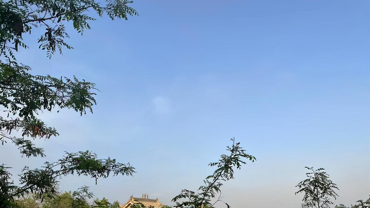 老伴儿风停夜泊聊情感 人到中年，背叛者的3种结局！均难承受