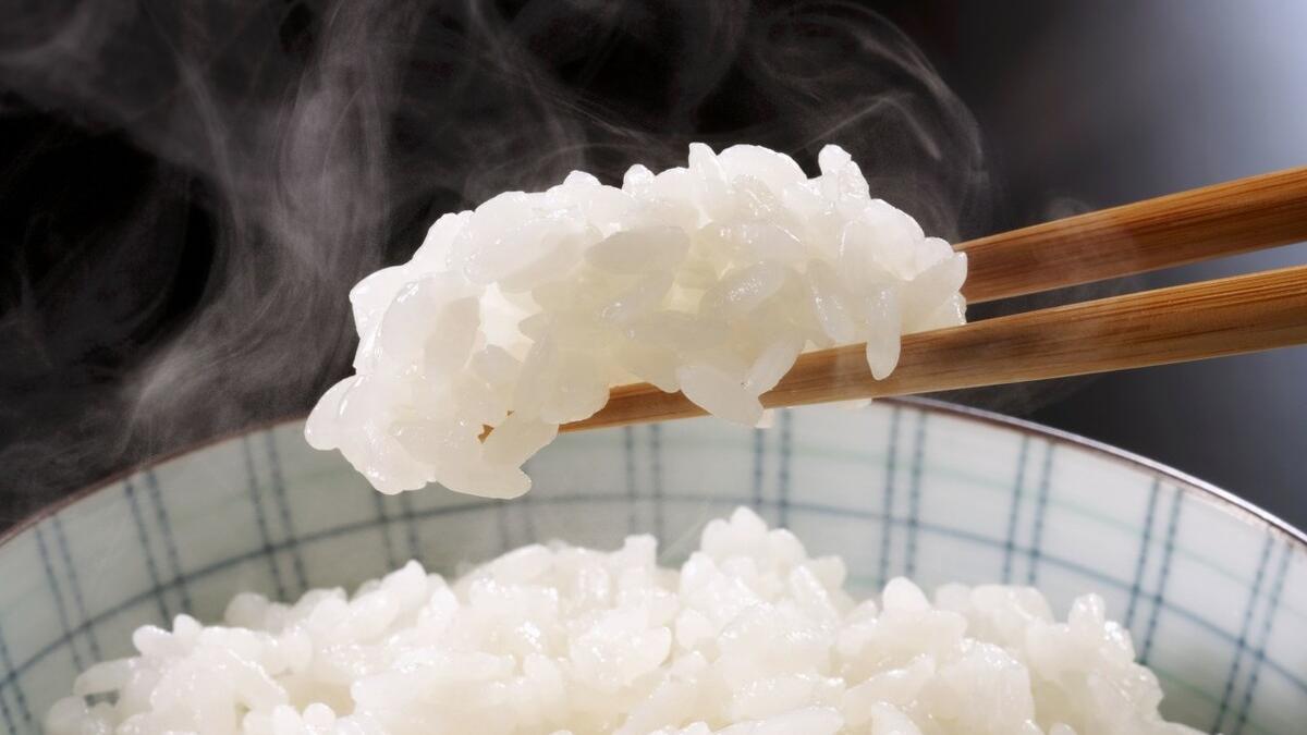 营养师 减肥｜蛋奶植物油减肥必备3营养素不用戒白饭？吃冷饭烧脂稳定效果