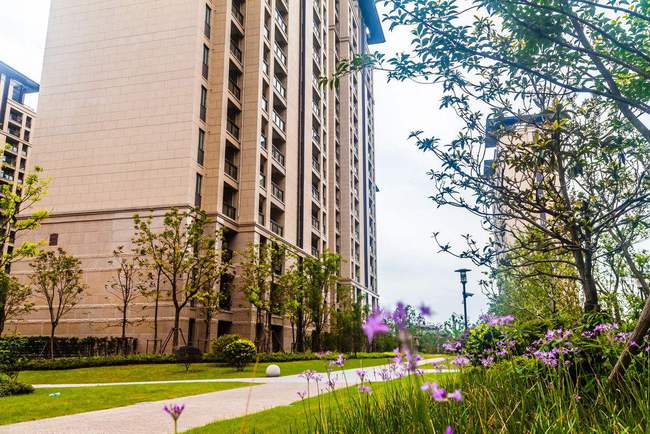 楼梯房可以选择低层，为何不建议电梯房选低层？因为有三大弊端！