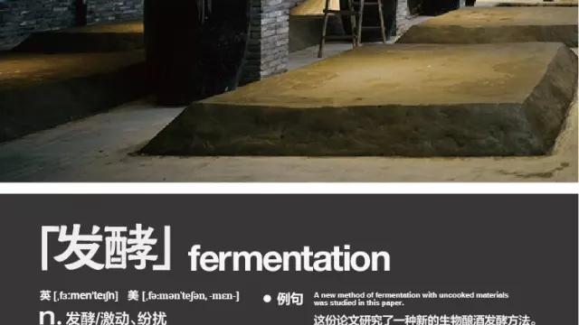 排骨汤|发酵到底是什么？