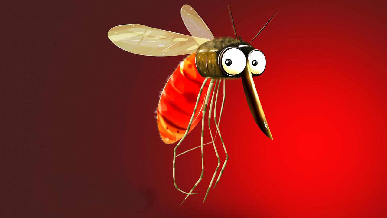 蚊子 蚊子：三分天下的吸血狂魔，蚊子为何总叮你？又该如何正确防蚊？