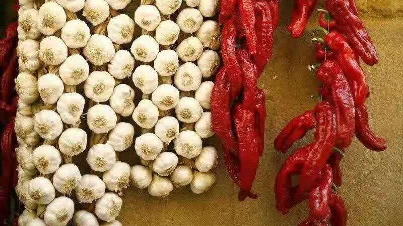 为什么大蒜在超市里不发芽，买回家却会发芽？大蒜应该怎样保存？