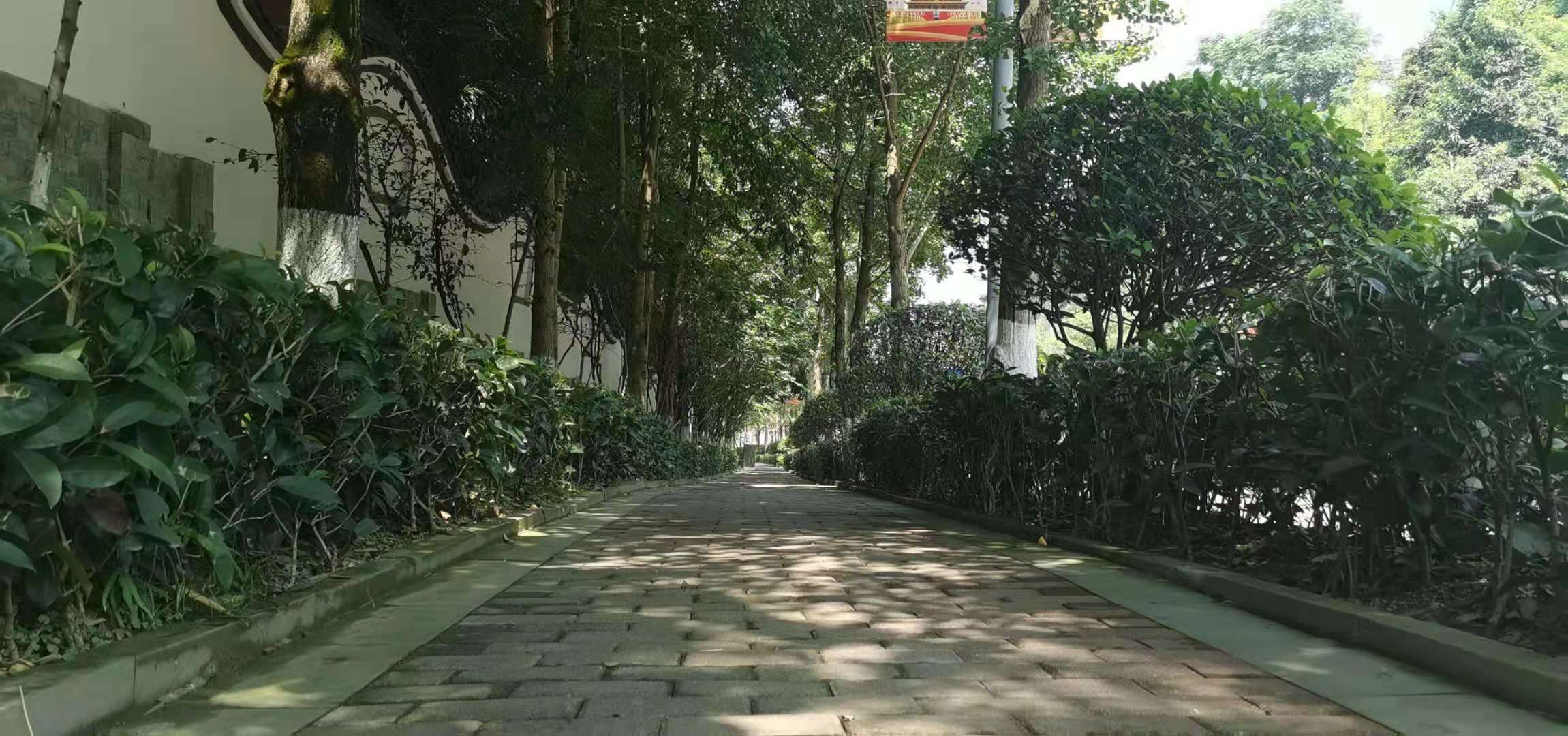 瑜峰|异国分居后，赵娜出轨“完美男人”，发现自己被骗痛苦不堪