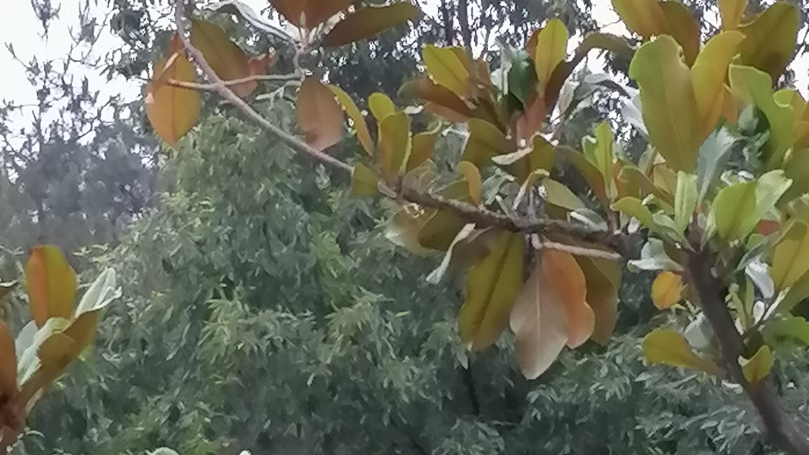 辣椒情感|离婚大概也会上瘾吧