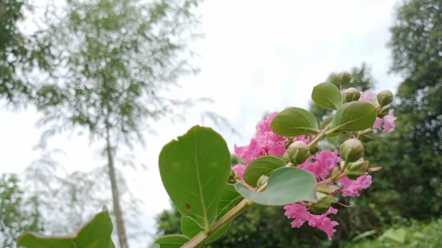 梦美儿|别太纠结感情的事