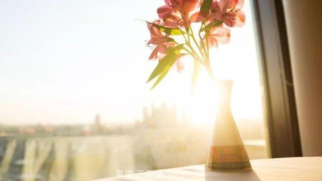 仲念念|三个方法，帮你识别人心，是否值得深交基本一目了然