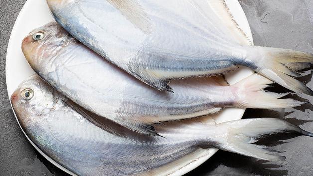 火锅|喜欢吃鱼，认准6种海鱼买，人工养不了，肉质鲜嫩营养高，无污染