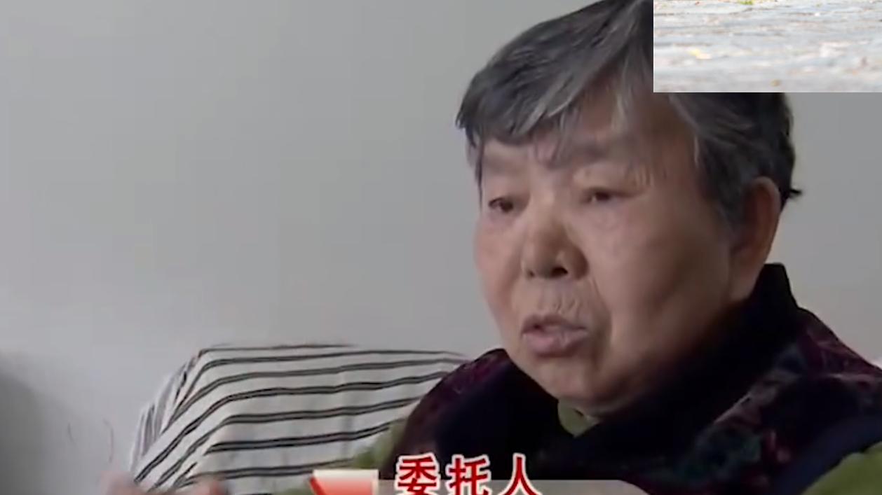 李子橱 妻子守寡10年，待儿子长大成人想再婚，公婆却百般阻拦