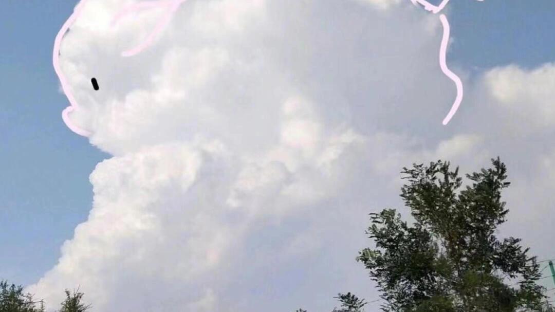 孤独患者文案馆|“夏天心动文案”