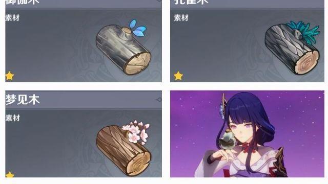 原神：国外最受欢迎角色评选，雷神仅排第二，刻晴无缘四强