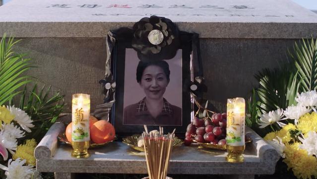 公子逸|《都挺好》原著苏明成“三次去赵美兰墓地”：从吼到哭，只余畸形