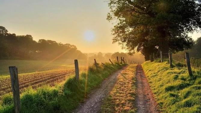 玄何居士|如何自己调整风水才能财源茂盛