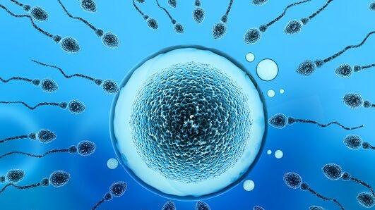 纳米材料 中国科学家开发出新型男性避孕法：用纳米颗粒抑制精子生成，一次