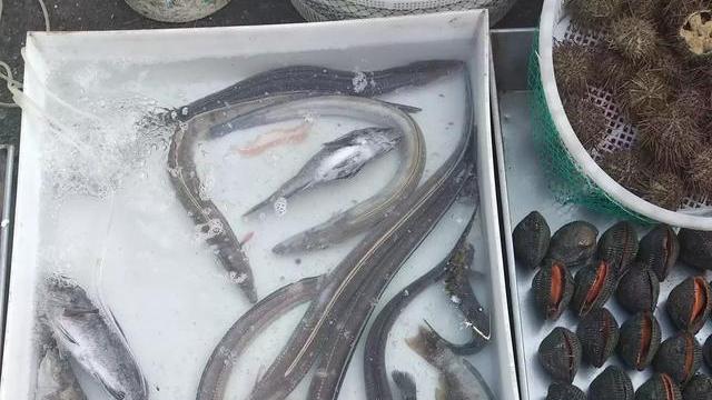 海胆|请朋友喝酒，中途朋友单独要了一道菜并且单独把这一道菜的钱给结了。对此你怎么想？