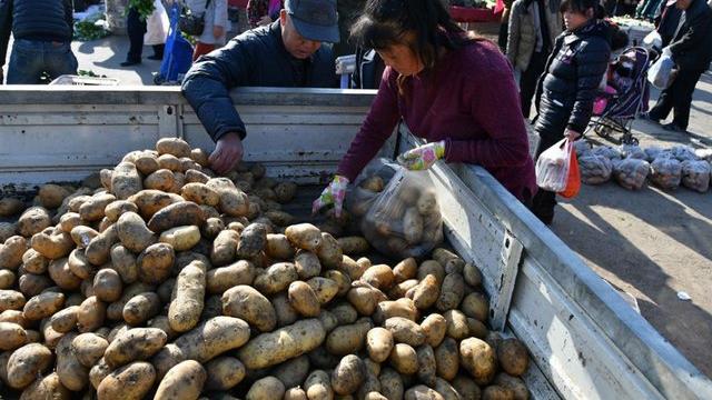 成都|冬天菜太贵，“这5种蔬菜”趁现在便宜多囤些，不愁冬天没菜吃